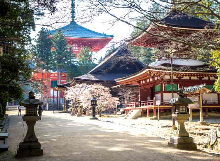 Mount Koya Japan