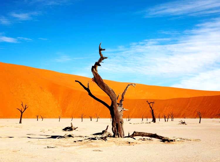 Namib Desert, Namibia - Beautiful Places In The World