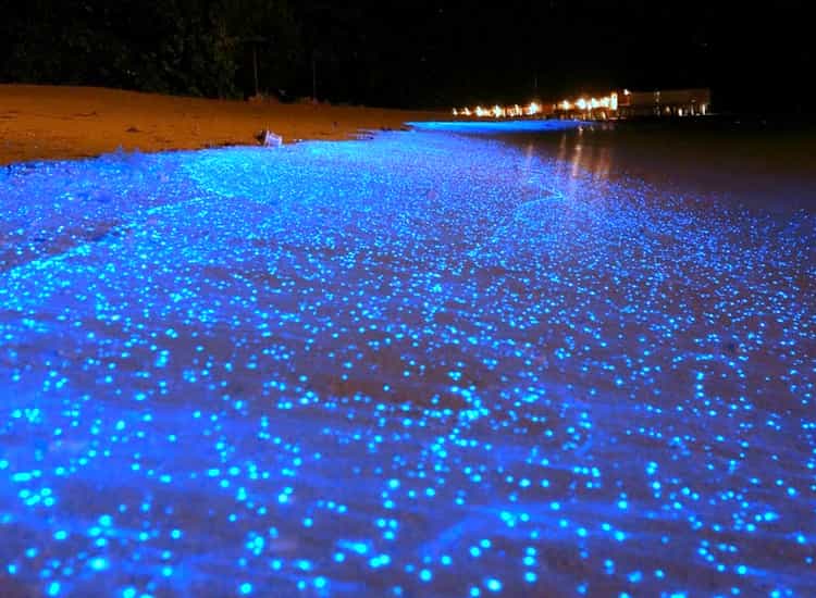 Sea Of Stars, Vaadhoo Island