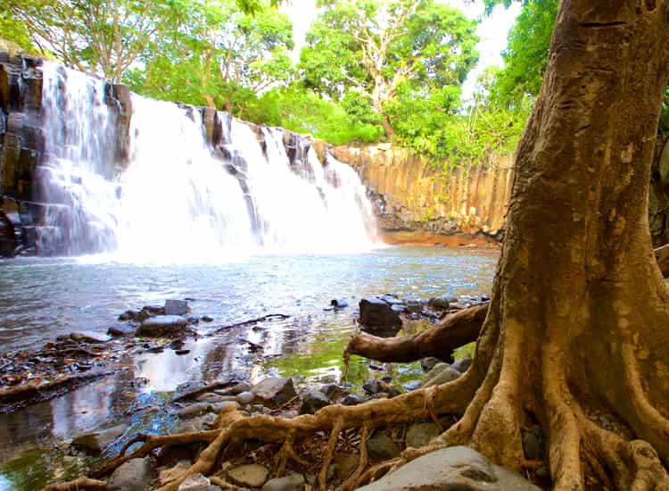 Black River Gorges National Park Mauritius