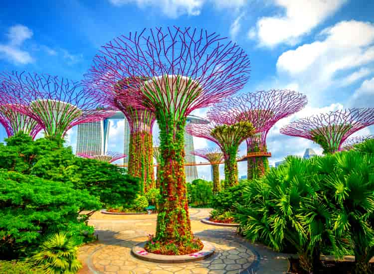 Gardens by the Bay Singapore