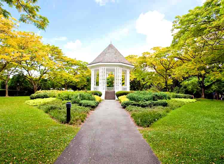 Singapore Botanic Gardens - Places to Visit in Singapore