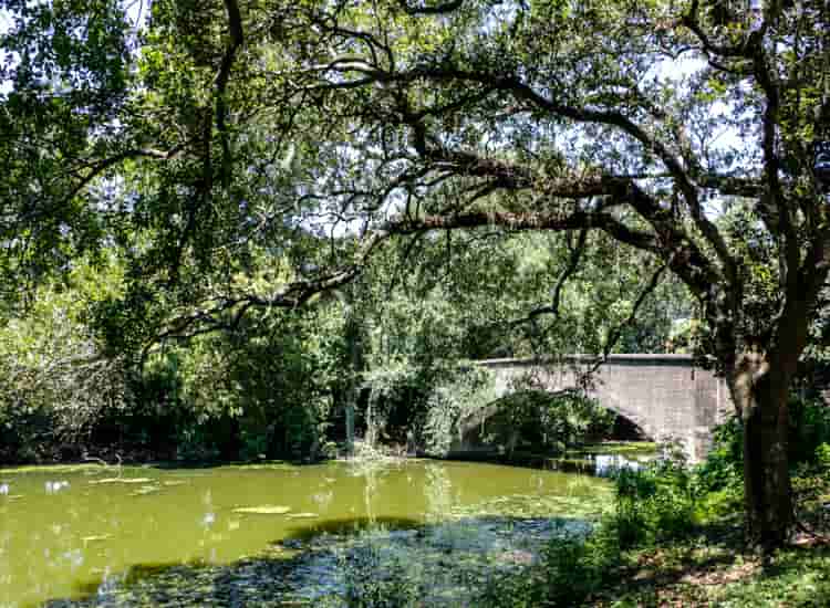 Audubon Park - Places to Visit in New Orleans