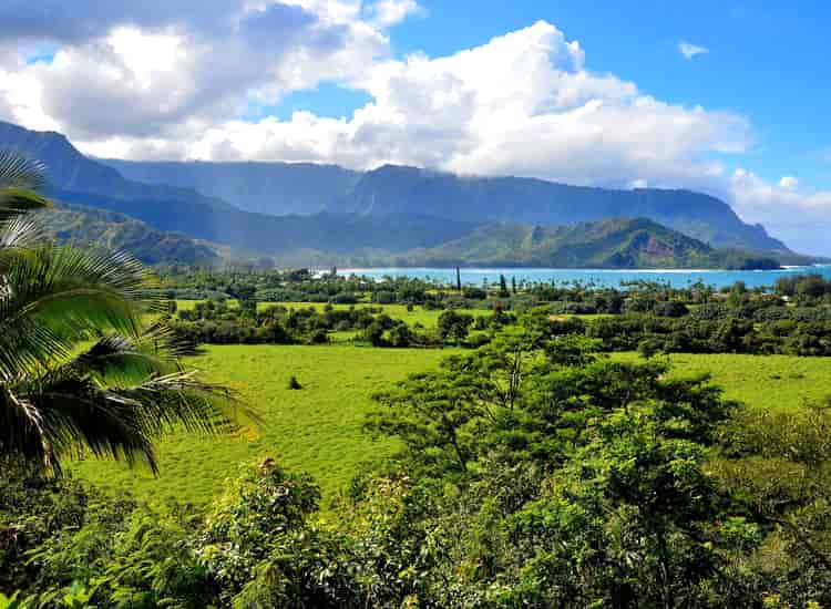 Hanalei Valley Lookout Kauai